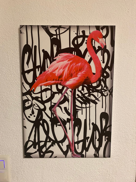 Flamingo