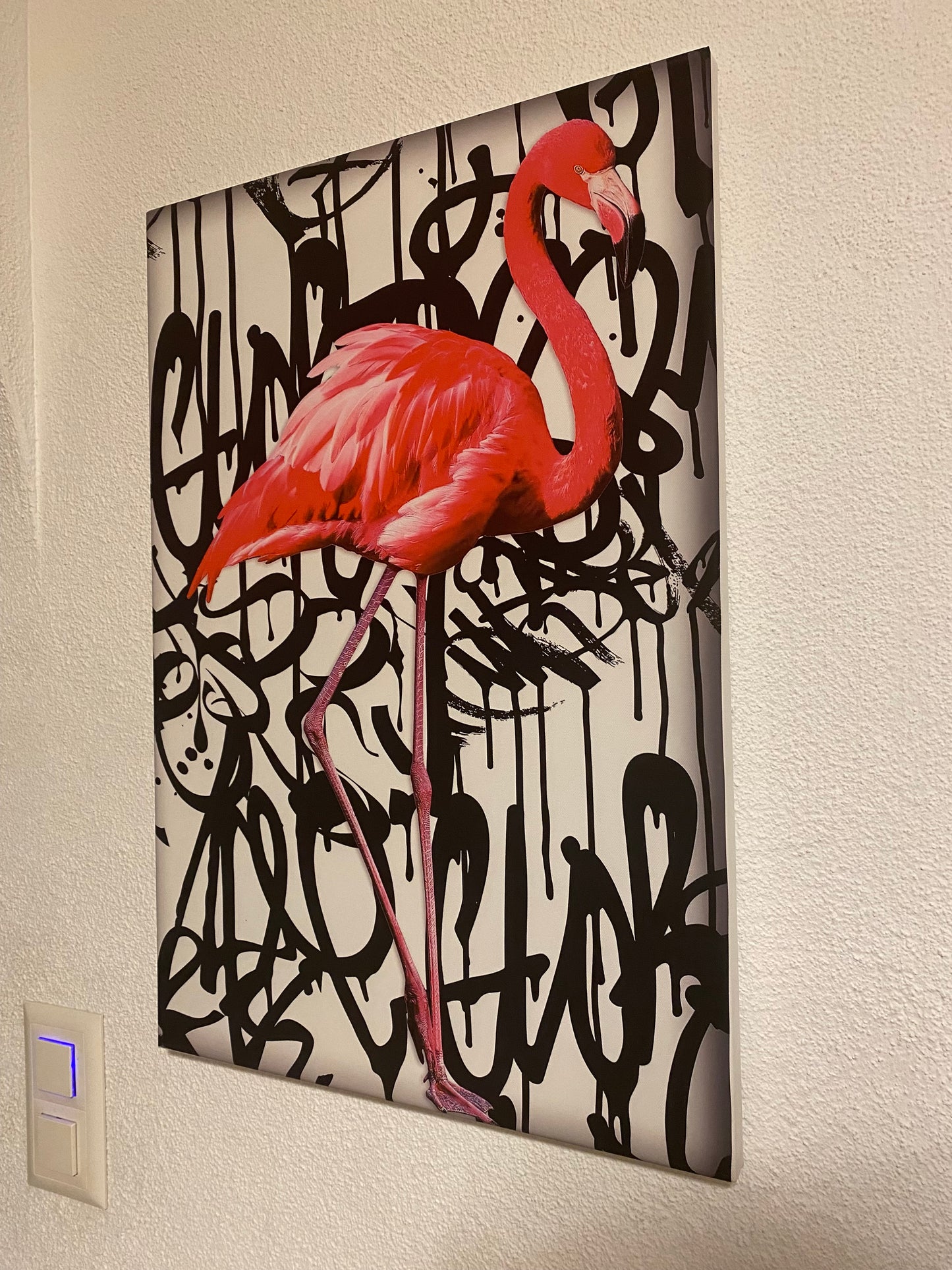 Flamingo